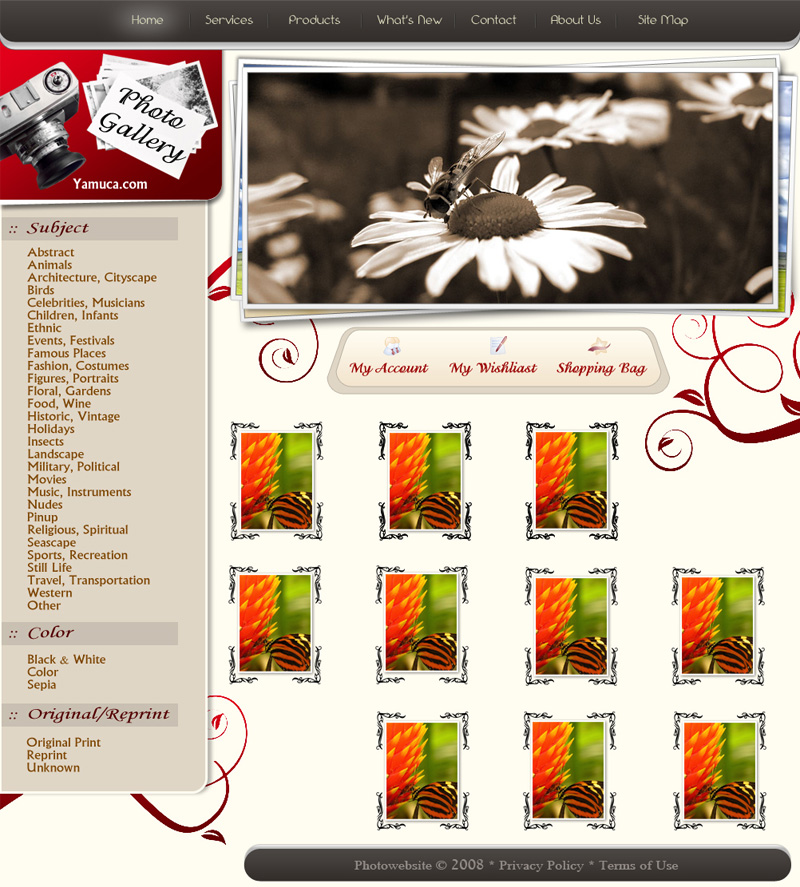 Photo Gallery