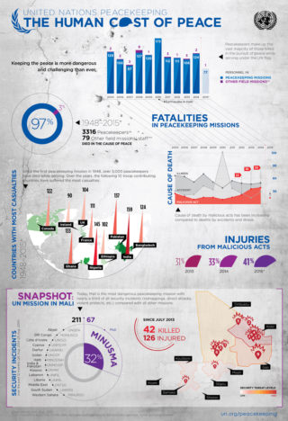 Human Cost of Peace Infographic